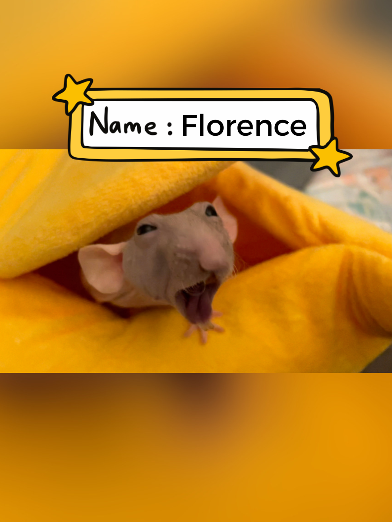 Florence