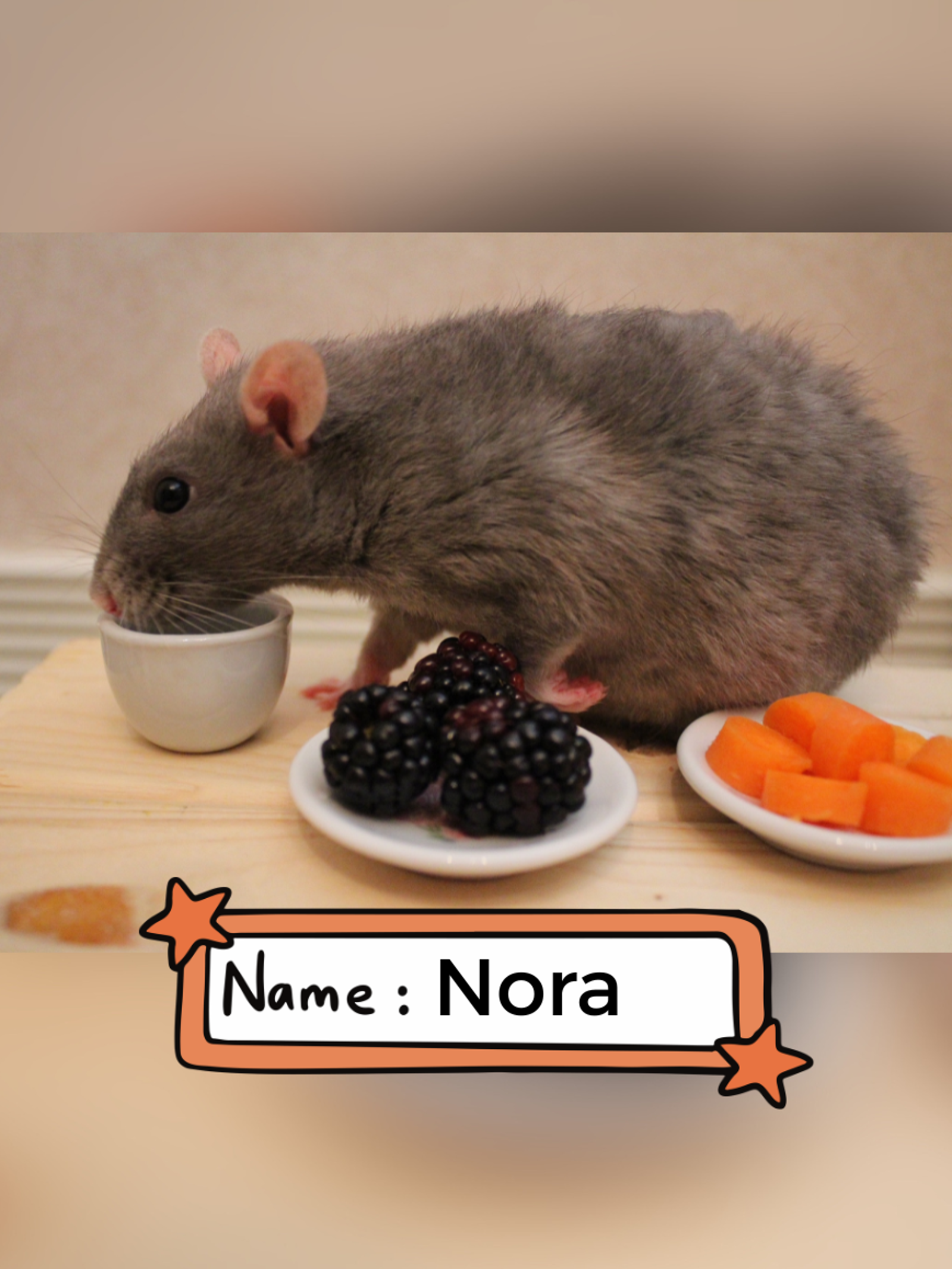Nora (1)