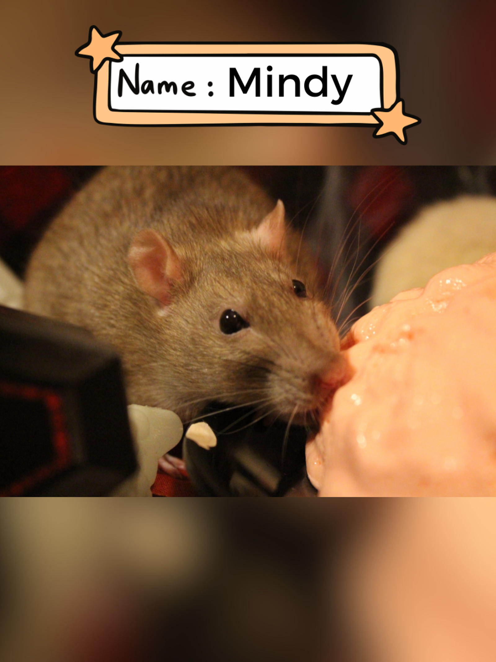 Mindy